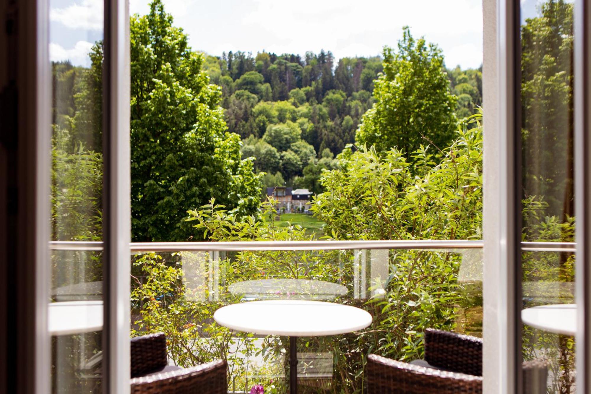 Villa Elbufer Bad Schandau Kültér fotó